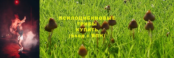 mdpv Алзамай