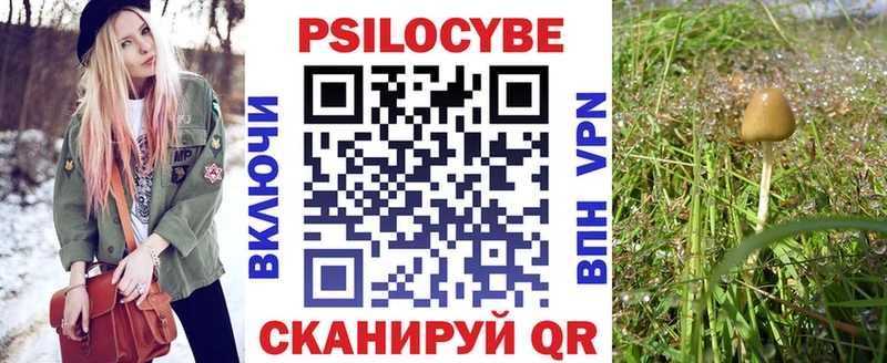 Псилоцибиновые грибы мицелий  Микунь 